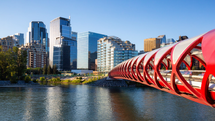 A photo of Peace Bridge in Calgary.